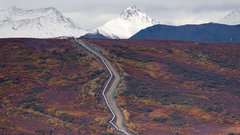 Project Icewine alaska