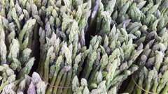 AdobeStock_318518463.jpeg