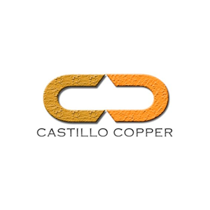 CCZ NI logo.png