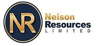 Nelson logo.JPG