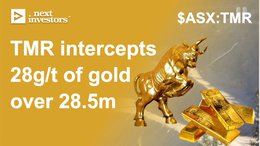 TMR intercepts 28.1g/t of gold over a 28.5m, thickest vein we've ever seen