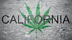 california cannabis.jpeg