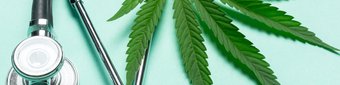 NTI Days Away from Crucial Lab Results – Can its Cannabis Strain Treat Autism?