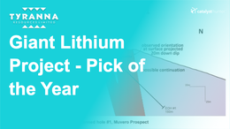 Catalyst Hunter: 2022 Pick Of The Year - Tyranna Resources (ASX: TYX)
